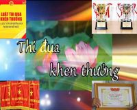 Đề nghị sửa đổi Luật Thi đua, Khen thưởng